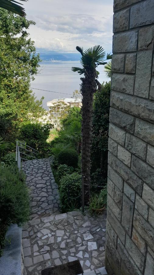 Apartment Ana オパティヤ エクステリア 写真